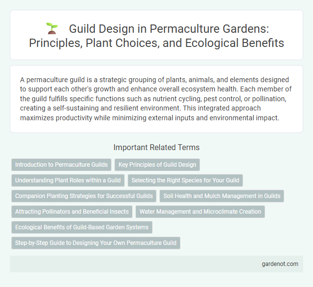 Guild Design in Permaculture Gardens: Principles, Plant Choices, and Ecological Benefits