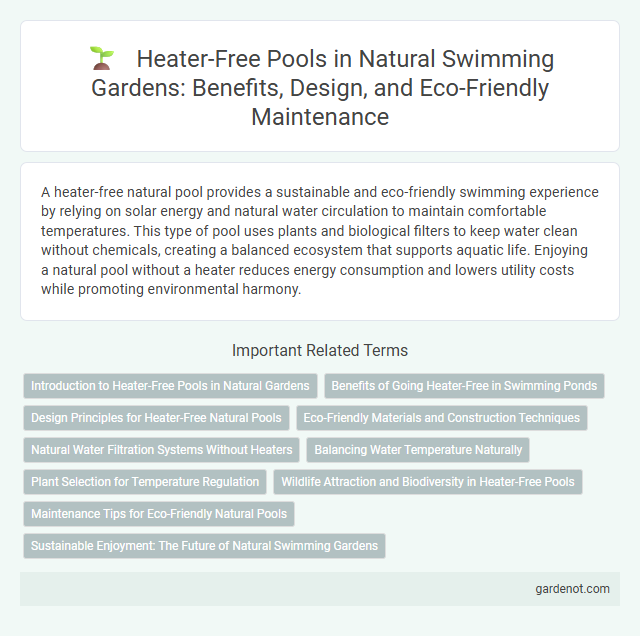 Heater-Free Pools in Natural Swimming Gardens: Benefits, Design, and Eco-Friendly Maintenance