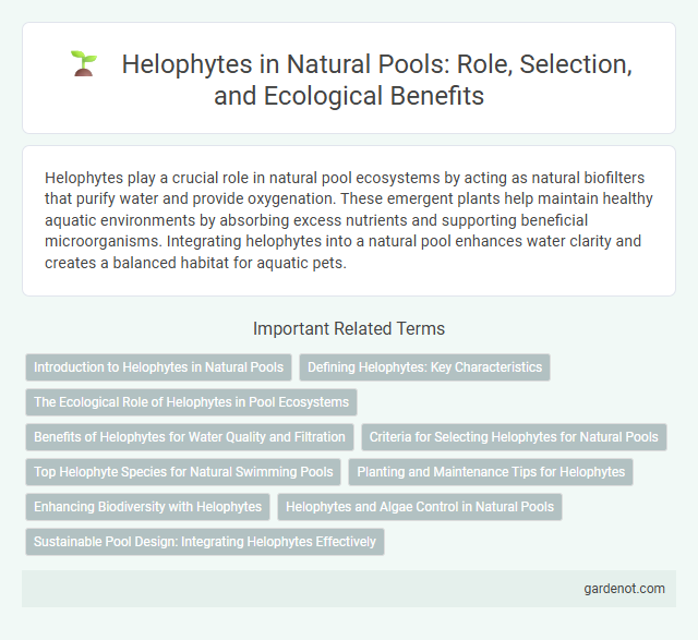 Helophytes in Natural Pools: Role, Selection, and Ecological Benefits
