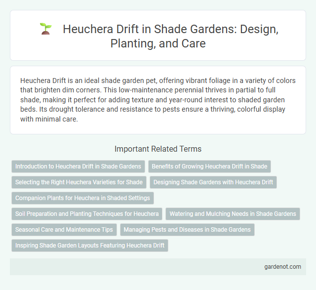 Heuchera Drift in Shade Gardens: Design, Planting, and Care