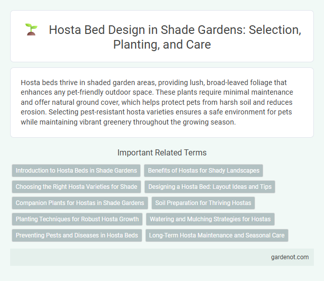 Hosta Bed Design in Shade Gardens: Selection, Planting, and Care