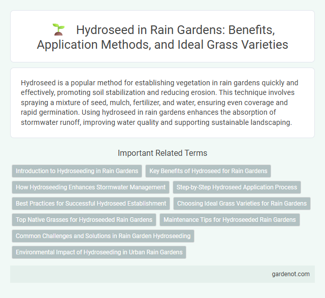 Hydroseed in Rain Gardens: Benefits, Application Methods, and Ideal Grass Varieties