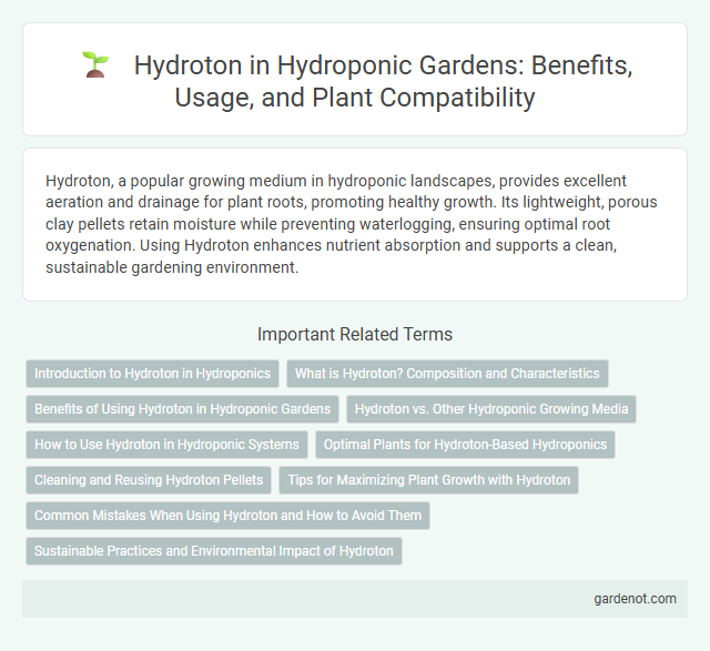 Hydroton in Hydroponic Gardens: Benefits, Usage, and Plant Compatibility