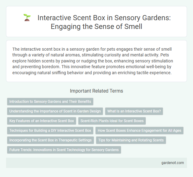 Interactive Scent Box in Sensory Gardens: Engaging the Sense of Smell