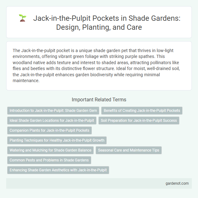 Jack-in-the-Pulpit Pockets in Shade Gardens: Design, Planting, and Care
