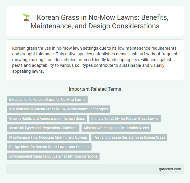 Korean Grass in No-Mow Lawns: Benefits, Maintenance, and Design Considerations
