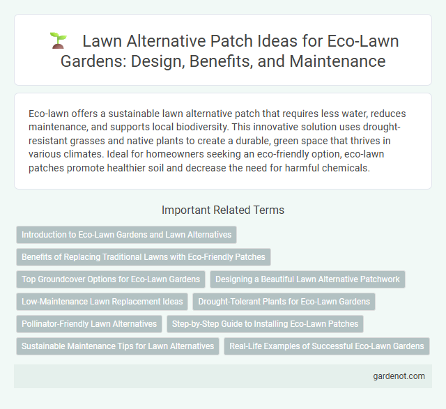 Lawn Alternative Patch Ideas for Eco-Lawn Gardens: Design, Benefits, and Maintenance