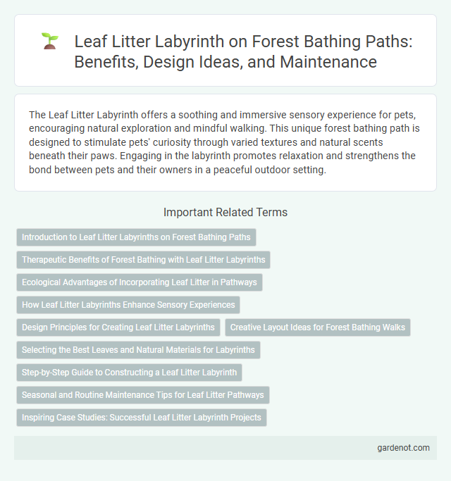 Leaf Litter Labyrinth on Forest Bathing Paths: Benefits, Design Ideas, and Maintenance