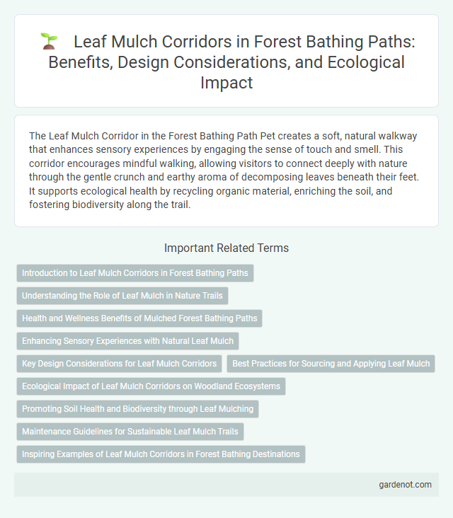 Leaf Mulch Corridors in Forest Bathing Paths: Benefits, Design Considerations, and Ecological Impact