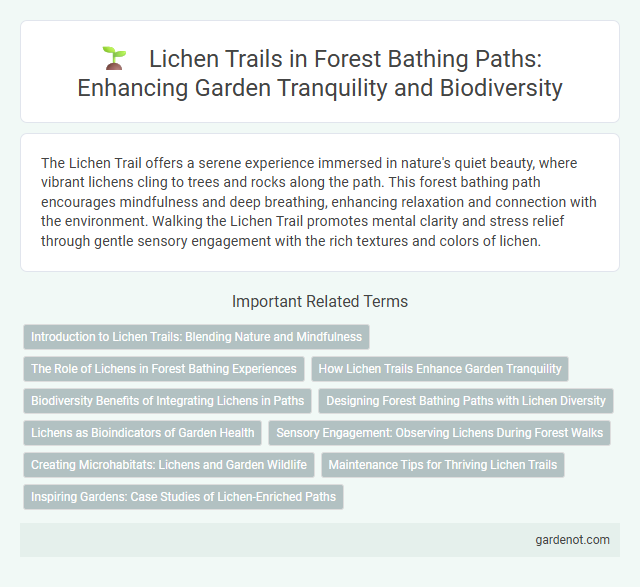 Lichen Trails in Forest Bathing Paths: Enhancing Garden Tranquility and Biodiversity
