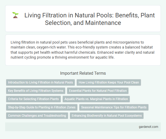 Living Filtration in Natural Pools: Benefits, Plant Selection, and Maintenance