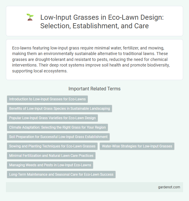 Low-Input Grasses in Eco-Lawn Design: Selection, Establishment, and Care