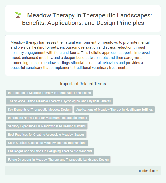 Meadow Therapy in Therapeutic Landscapes: Benefits, Applications, and Design Principles