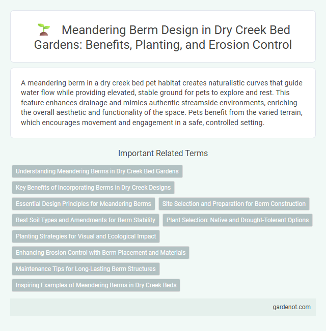 Meandering Berm Design in Dry Creek Bed Gardens: Benefits, Planting, and Erosion Control