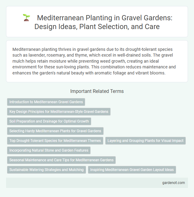 Mediterranean Planting in Gravel Gardens: Design Ideas, Plant Selection, and Care