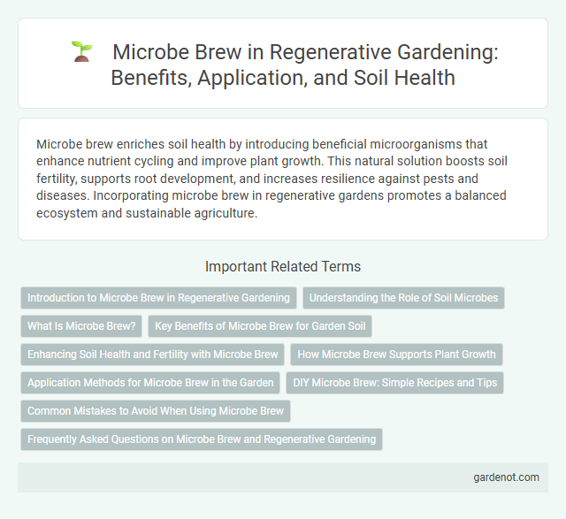 Microbe Brew in Regenerative Gardening: Benefits, Application, and Soil Health