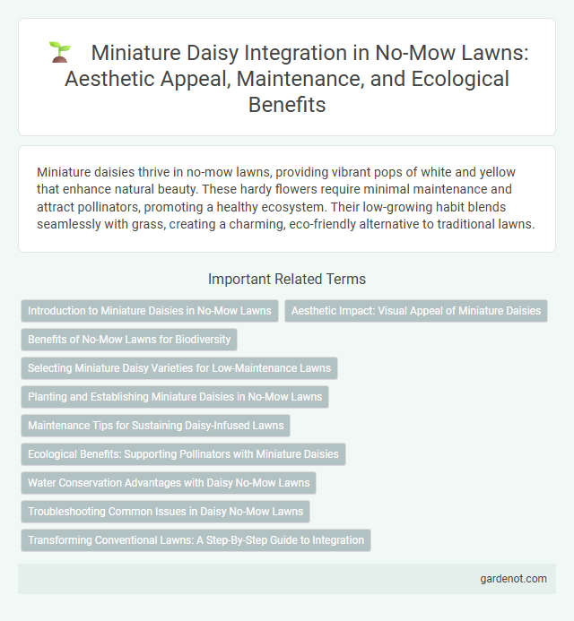 Miniature Daisy Integration in No-Mow Lawns: Aesthetic Appeal, Maintenance, and Ecological Benefits