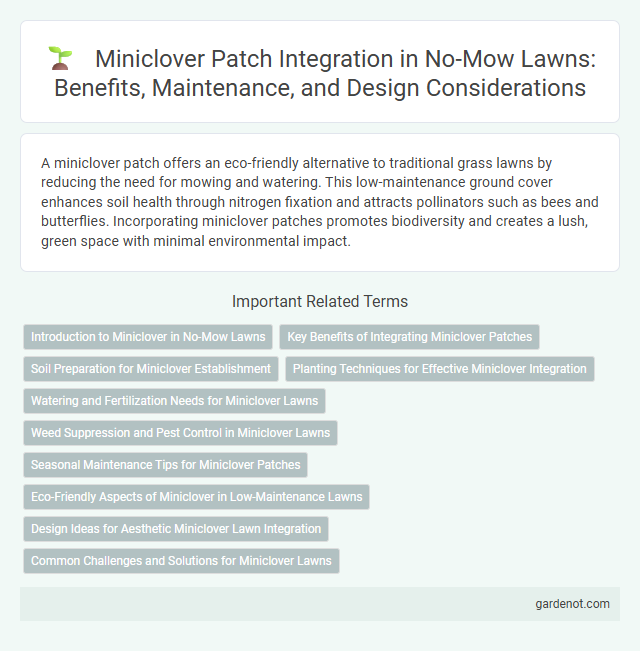 Miniclover Patch Integration in No-Mow Lawns: Benefits, Maintenance, and Design Considerations
