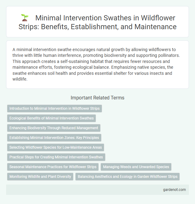 Minimal Intervention Swathes in Wildflower Strips: Benefits, Establishment, and Maintenance