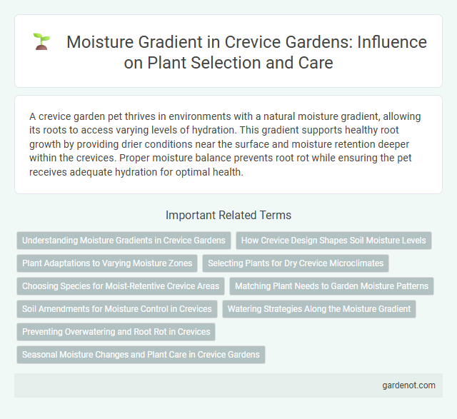 Moisture Gradient in Crevice Gardens: Influence on Plant Selection and Care