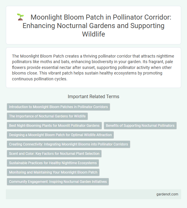 Moonlight Bloom Patch in Pollinator Corridor: Enhancing Nocturnal Gardens and Supporting Wildlife