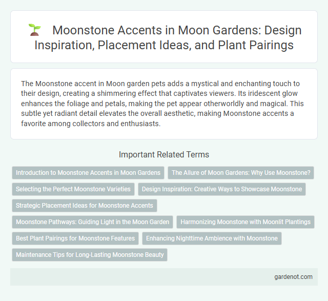 Moonstone Accents in Moon Gardens: Design Inspiration, Placement Ideas, and Plant Pairings