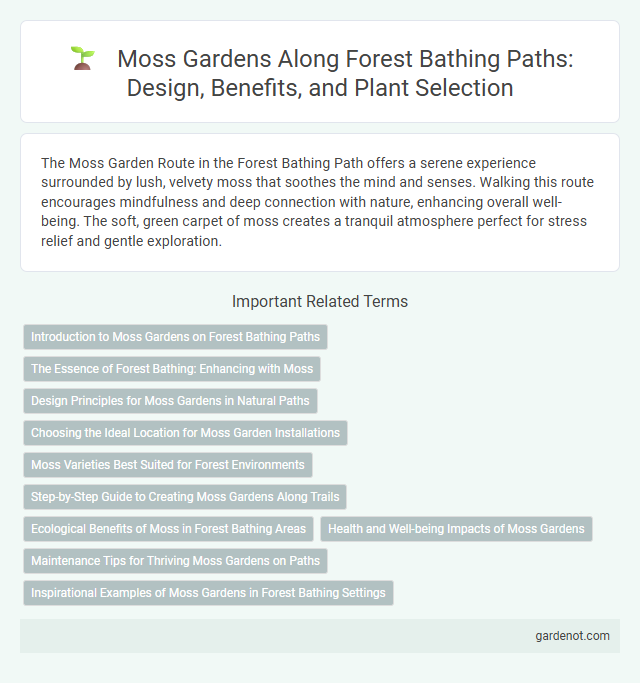 Moss Gardens Along Forest Bathing Paths: Design, Benefits, and Plant Selection