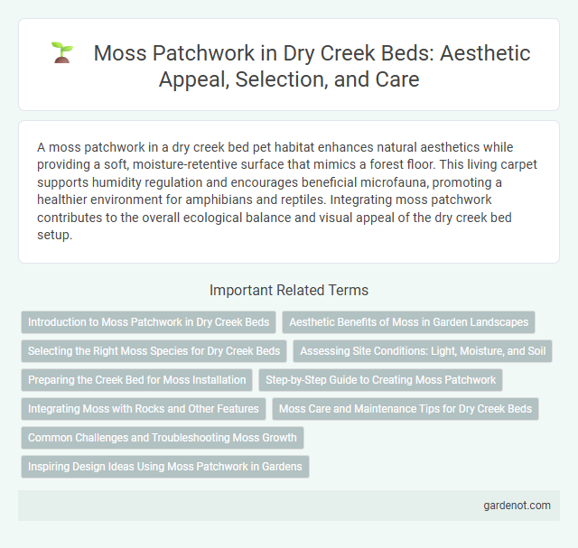 Moss Patchwork in Dry Creek Beds: Aesthetic Appeal, Selection, and Care