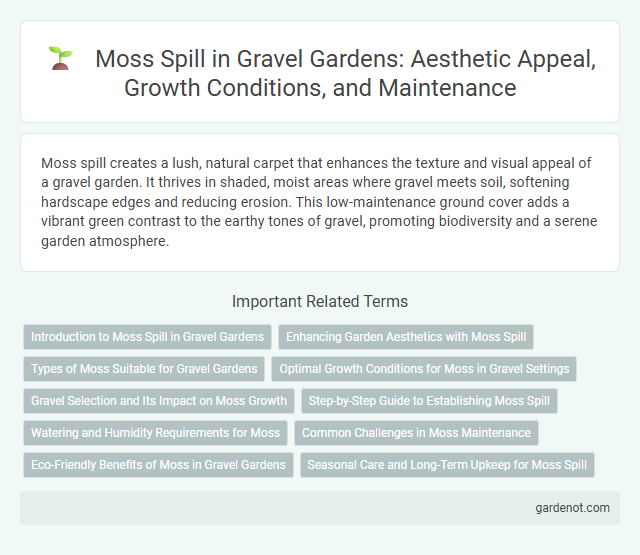 Moss Spill in Gravel Gardens: Aesthetic Appeal, Growth Conditions, and Maintenance