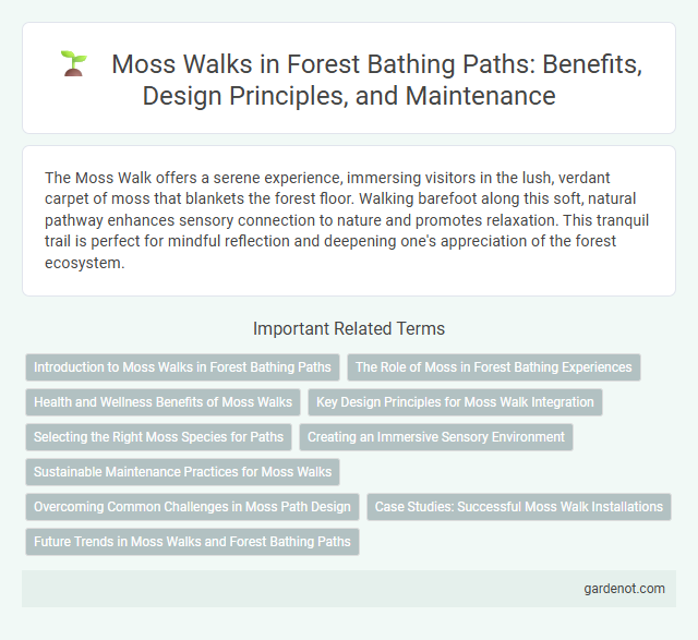 Moss Walks in Forest Bathing Paths: Benefits, Design Principles, and Maintenance
