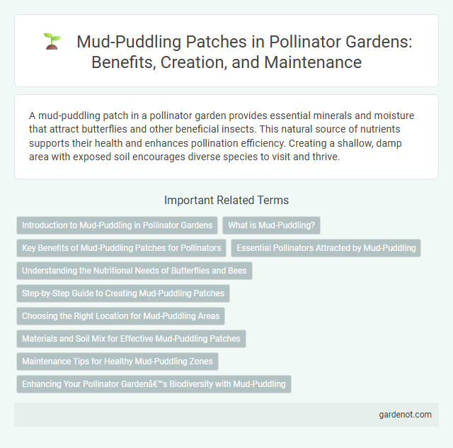 Mud-Puddling Patches in Pollinator Gardens: Benefits, Creation, and Maintenance