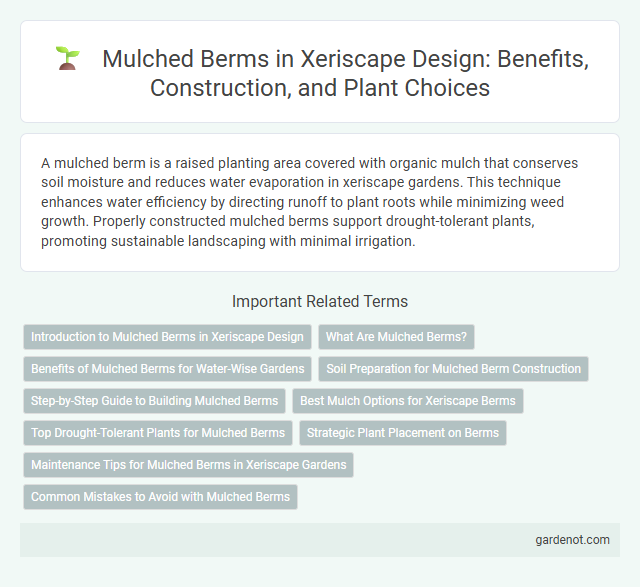 Mulched Berms in Xeriscape Design: Benefits, Construction, and Plant Choices