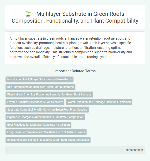 Multilayer Substrate in Green Roofs: Composition, Functionality, and Plant Compatibility