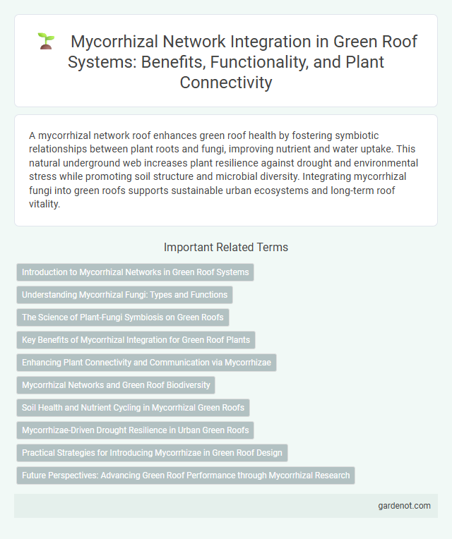 Mycorrhizal Network Integration in Green Roof Systems: Benefits, Functionality, and Plant Connectivity