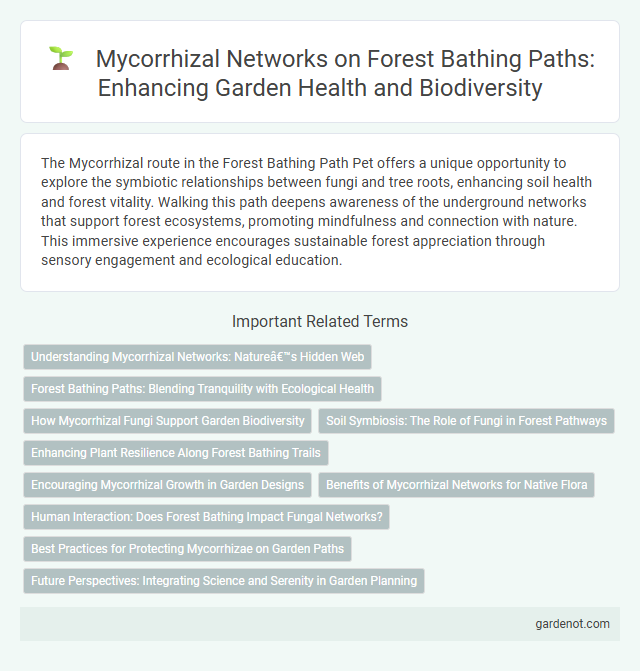 Mycorrhizal Networks on Forest Bathing Paths: Enhancing Garden Health and Biodiversity