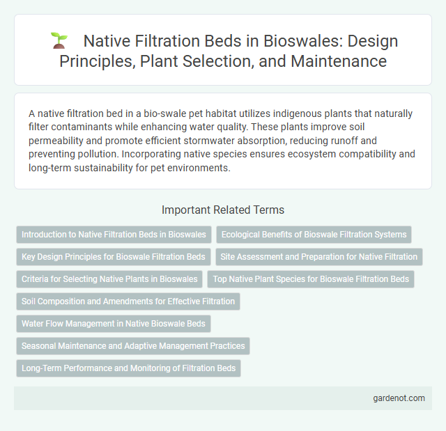 Native Filtration Beds in Bioswales: Design Principles, Plant Selection, and Maintenance