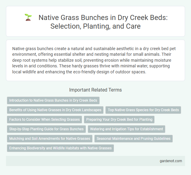 Native Grass Bunches in Dry Creek Beds: Selection, Planting, and Care