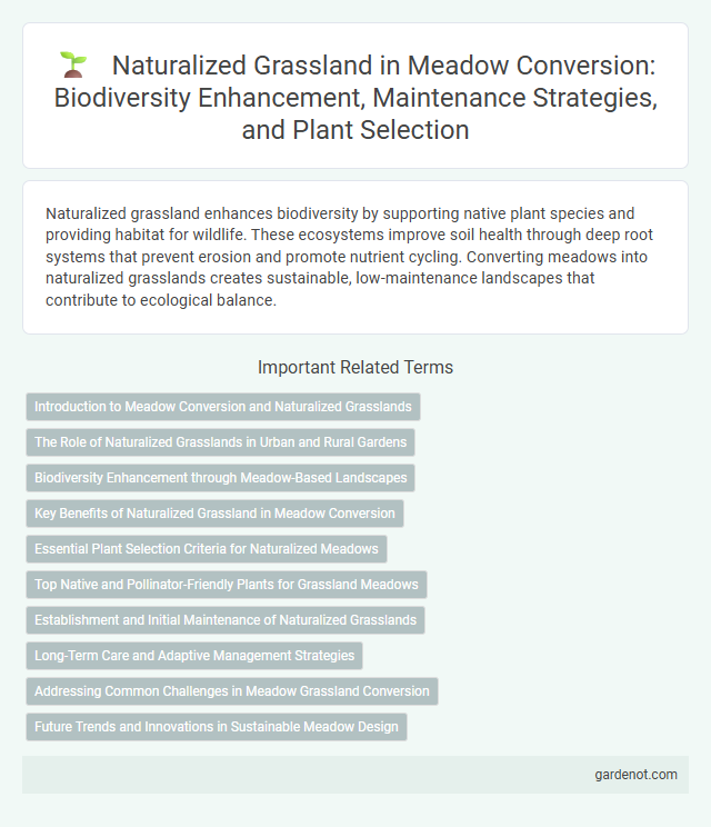 Naturalized Grassland in Meadow Conversion: Biodiversity Enhancement, Maintenance Strategies, and Plant Selection
