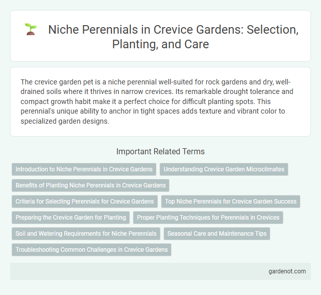 Niche Perennials in Crevice Gardens: Selection, Planting, and Care