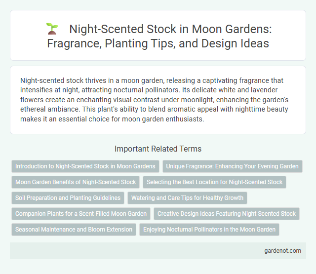 Night-Scented Stock in Moon Gardens: Fragrance, Planting Tips, and Design Ideas