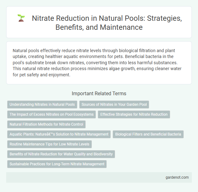 Nitrate Reduction in Natural Pools: Strategies, Benefits, and Maintenance