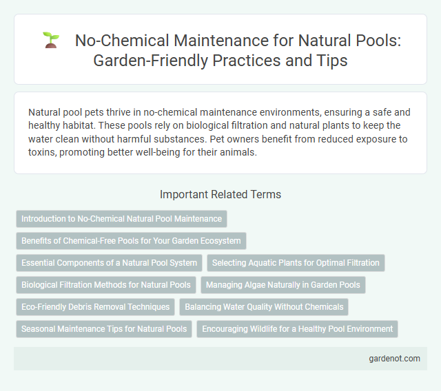 No-Chemical Maintenance for Natural Pools: Garden-Friendly Practices and Tips
