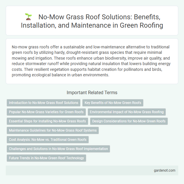 No-Mow Grass Roof Solutions: Benefits, Installation, and Maintenance in Green Roofing