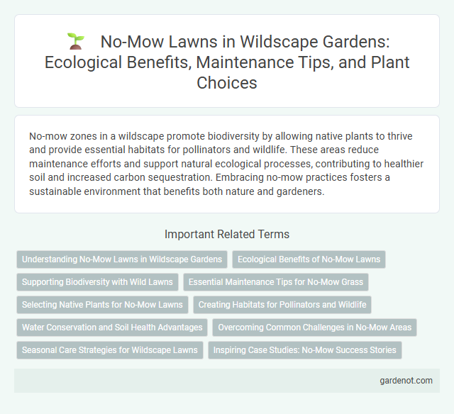 No-Mow Lawns in Wildscape Gardens: Ecological Benefits, Maintenance Tips, and Plant Choices