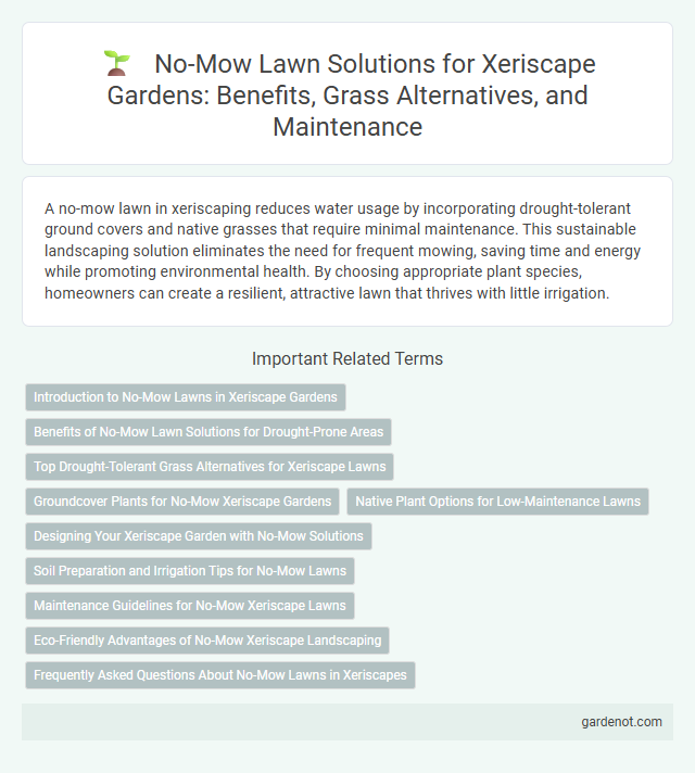 No-Mow Lawn Solutions for Xeriscape Gardens: Benefits, Grass Alternatives, and Maintenance