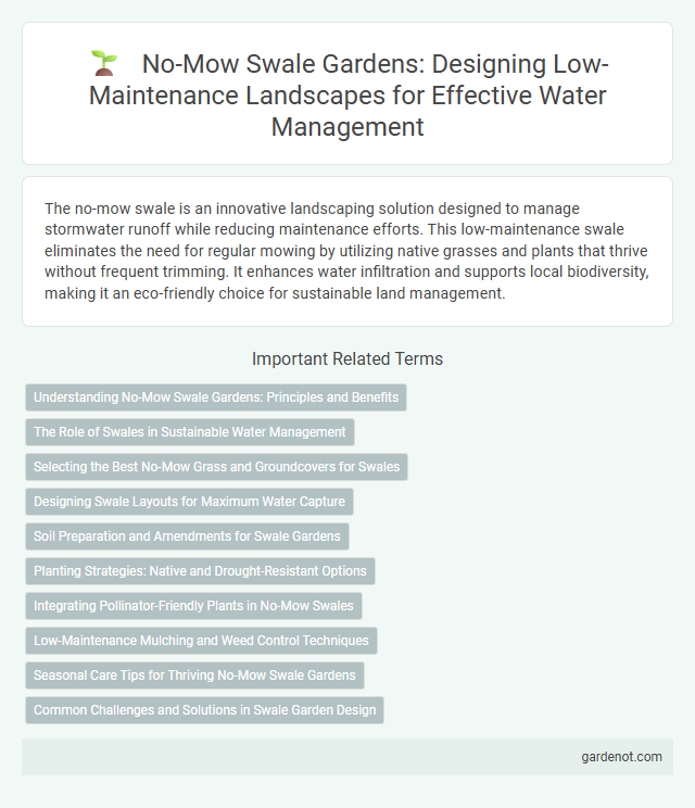 No-Mow Swale Gardens: Designing Low-Maintenance Landscapes for Effective Water Management