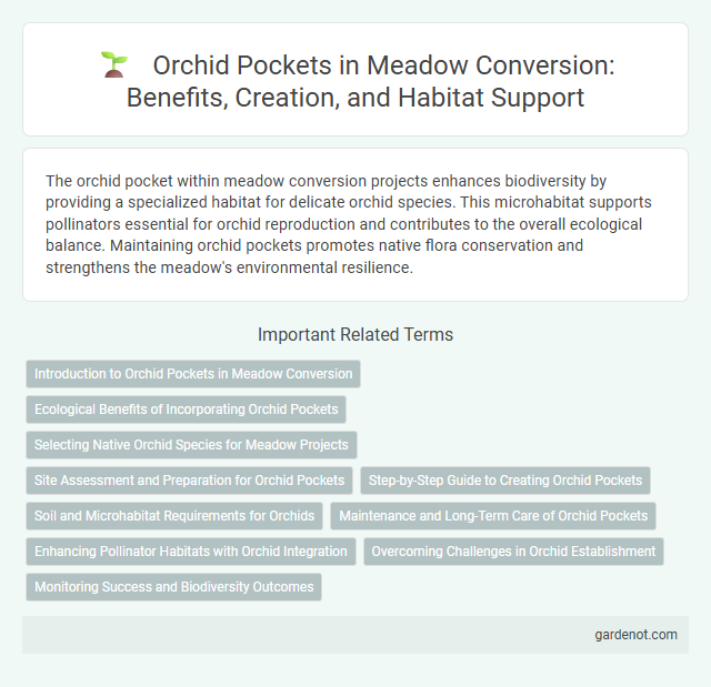 Orchid Pockets in Meadow Conversion: Benefits, Creation, and Habitat Support