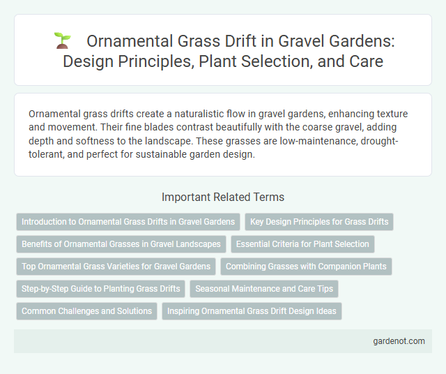 Ornamental Grass Drift in Gravel Gardens: Design Principles, Plant Selection, and Care