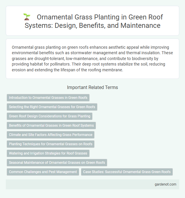 Ornamental Grass Planting in Green Roof Systems: Design, Benefits, and Maintenance