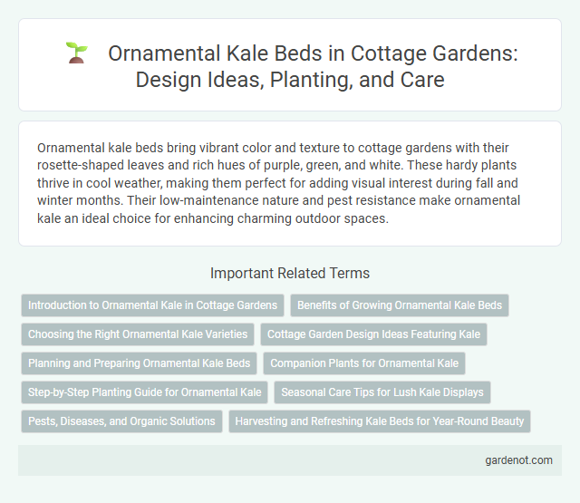 Ornamental Kale Beds in Cottage Gardens: Design Ideas, Planting, and Care
